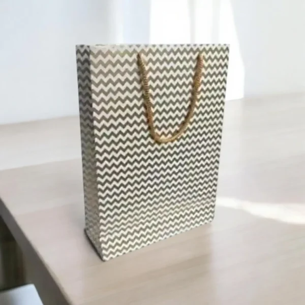 Paper Carry Bag Pack Of 10